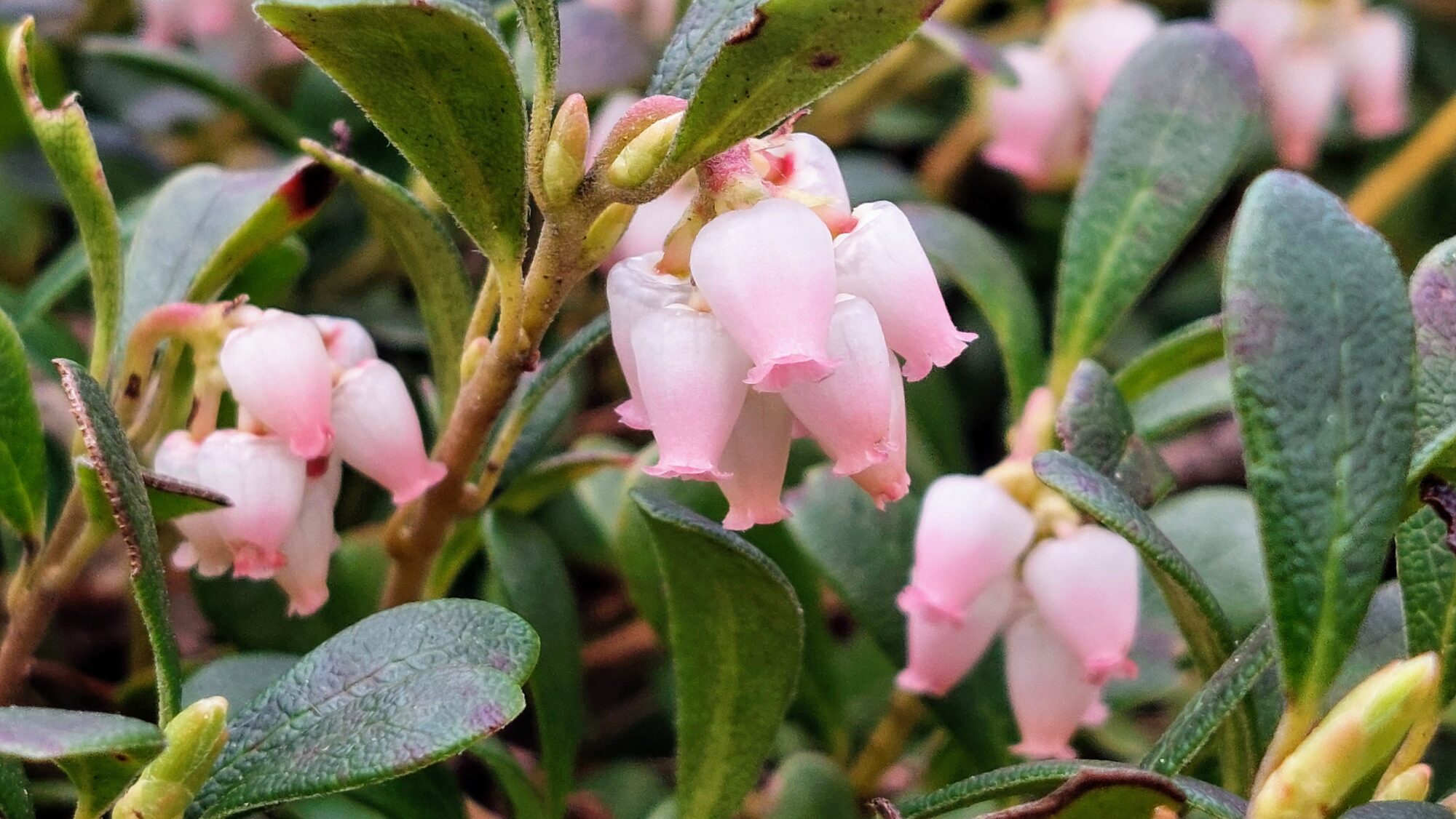 Valokuvaaja: Tarja Naukkarinen