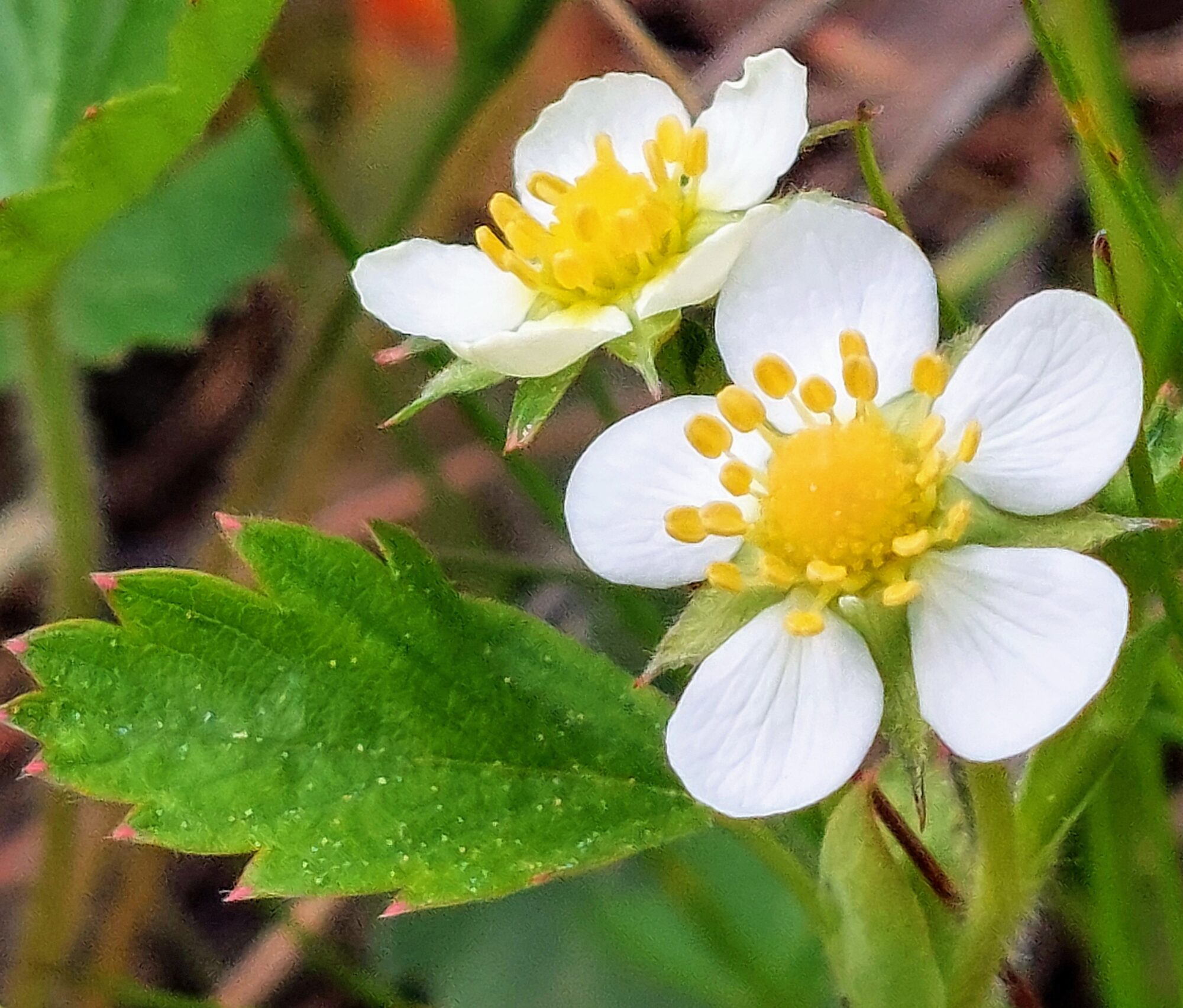 Valokuvaaja: Tarja Naukkarinen