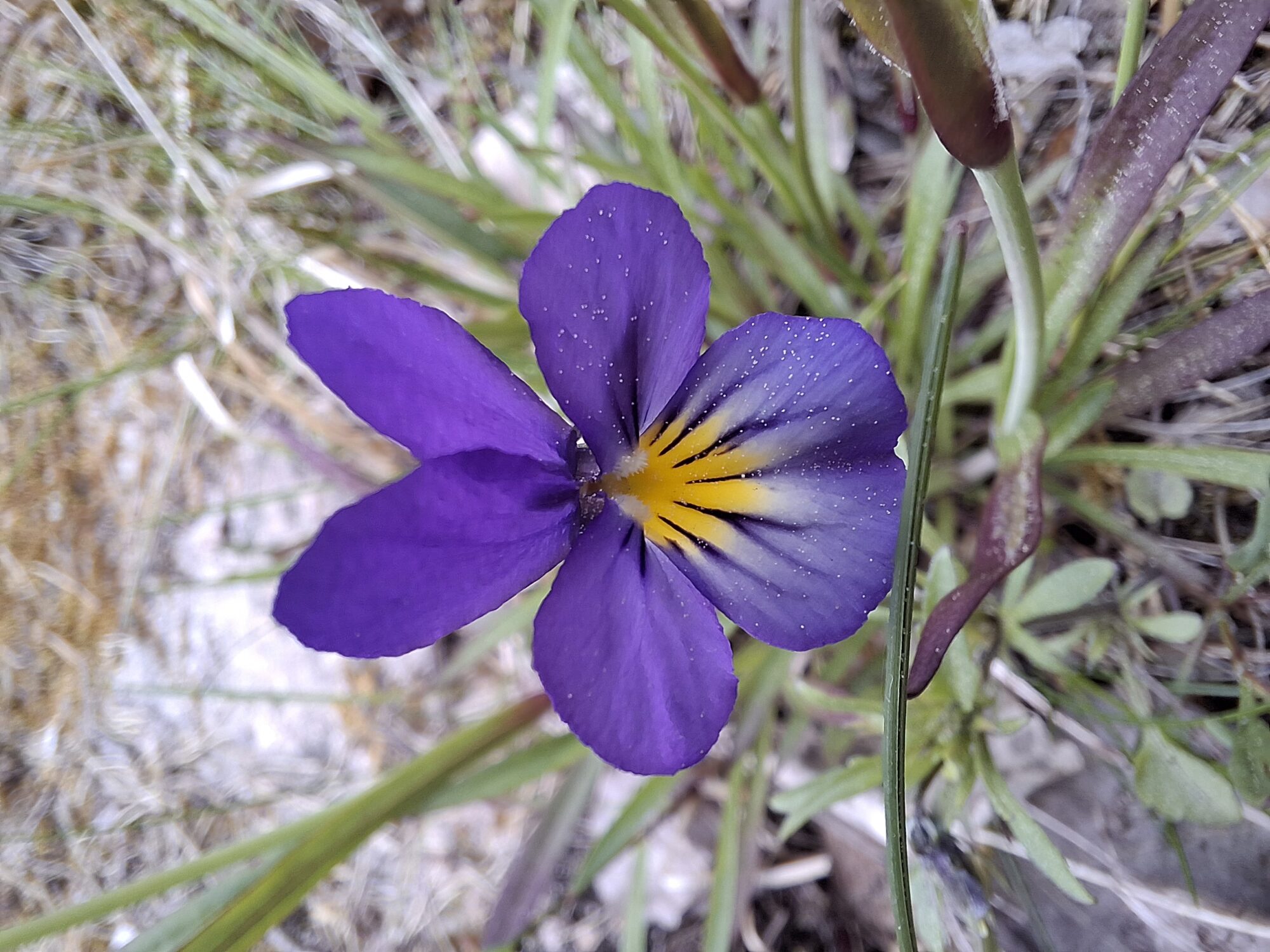 Valokuvaaja: Satu Suuntala