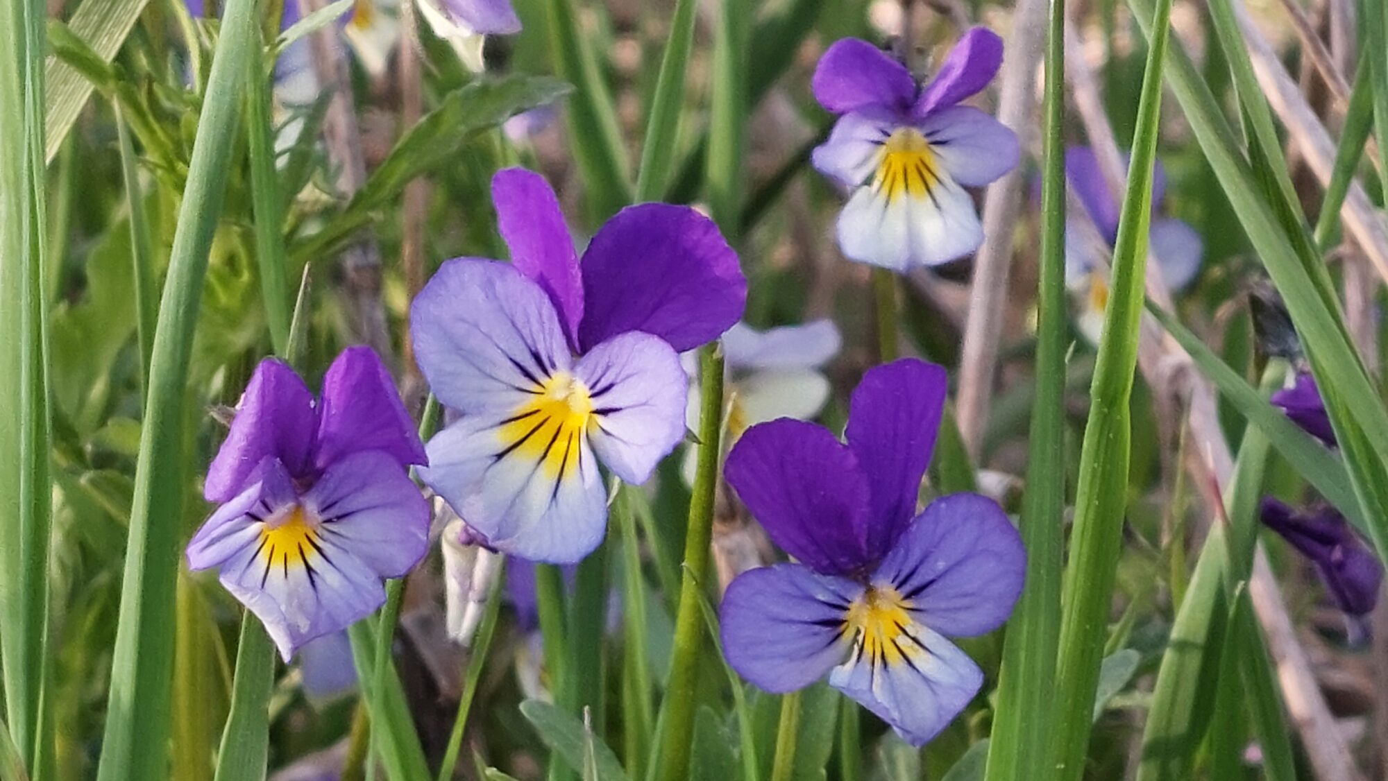 Valokuvaaja: Tarja Naukkarinen