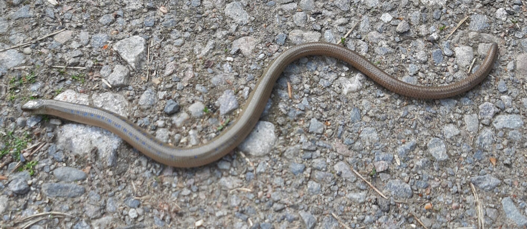 Valokuvaaja: Raija Rautiainen