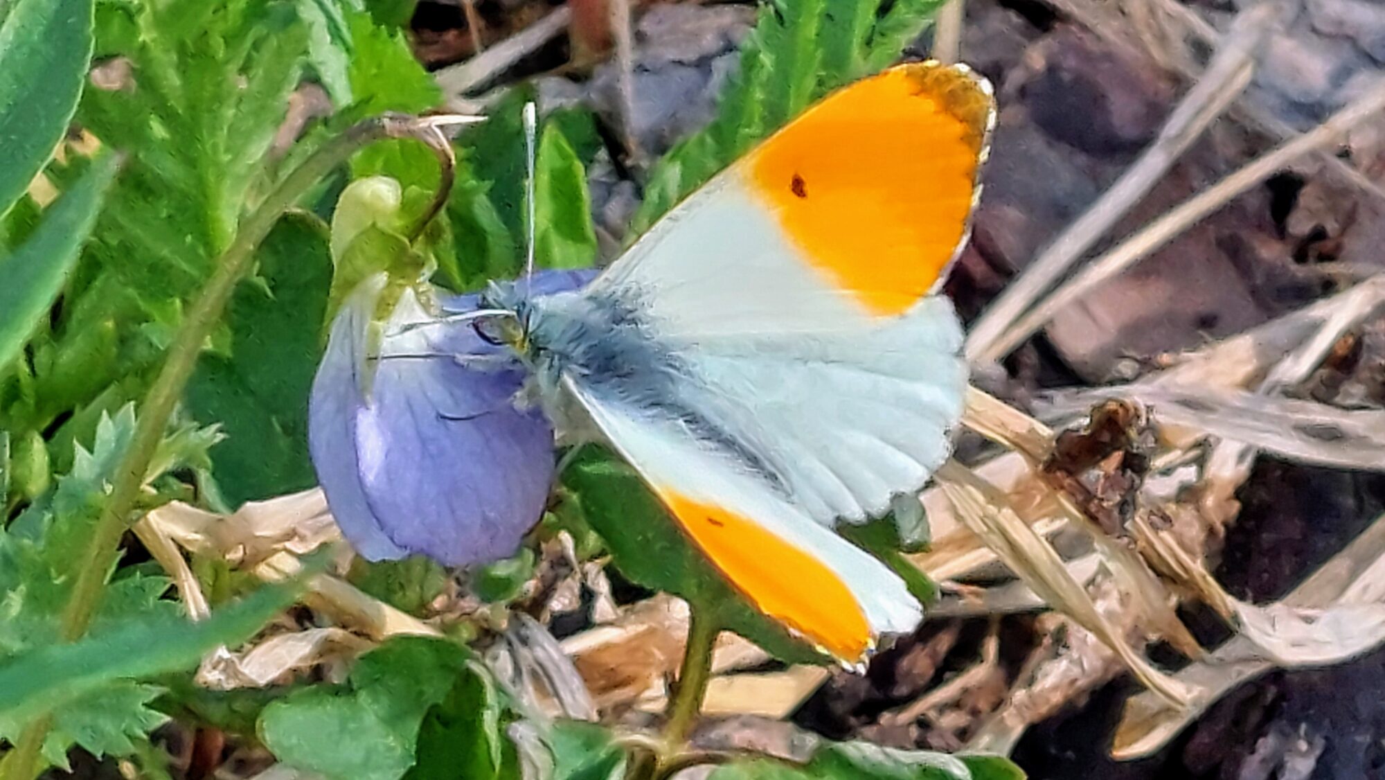 Valokuvaaja: Tarja Naukkarinen