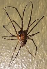 Valokuvaaja: Tarja Mustonen