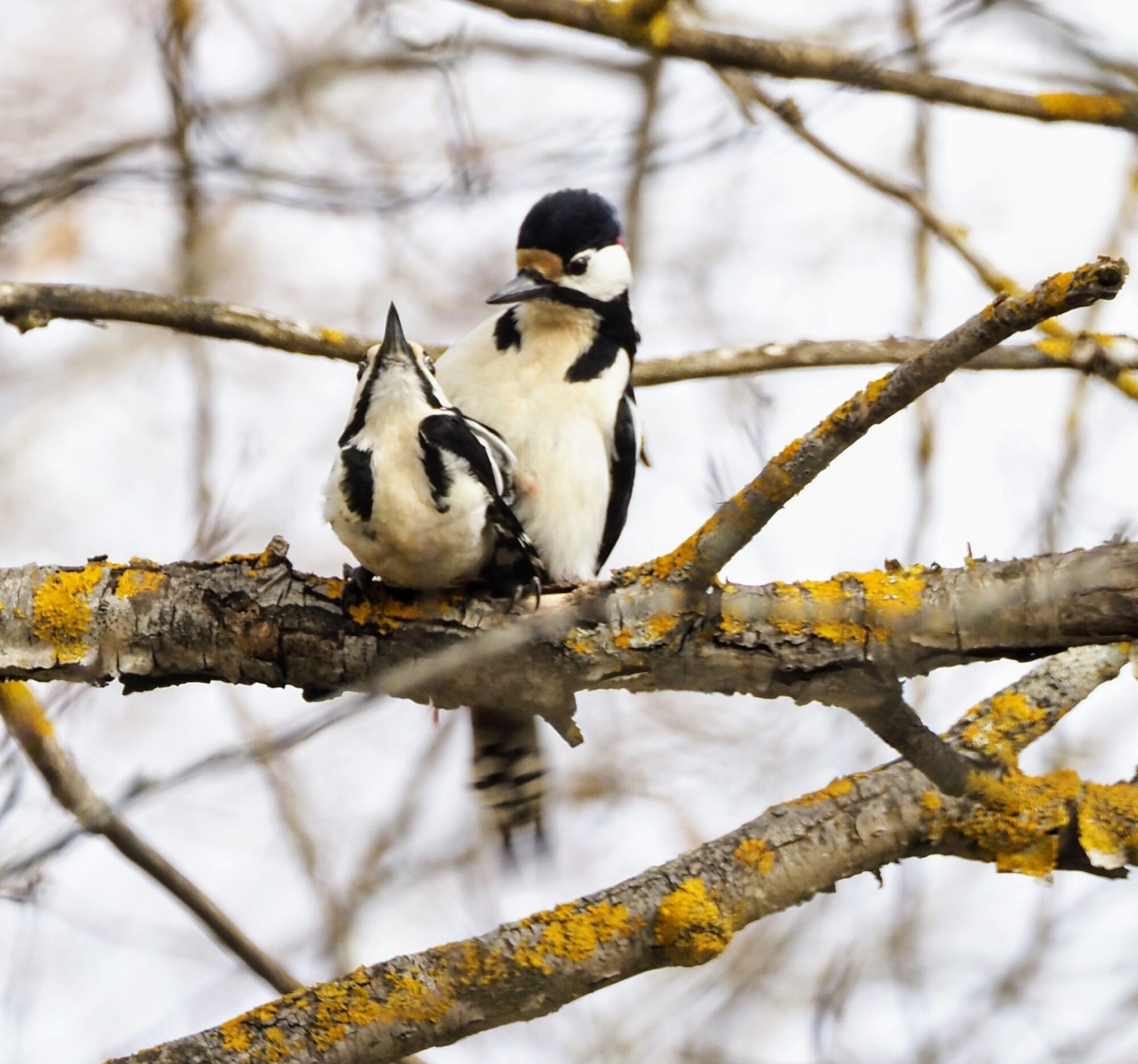 Valokuvaaja: Annikki Kärkkäinen