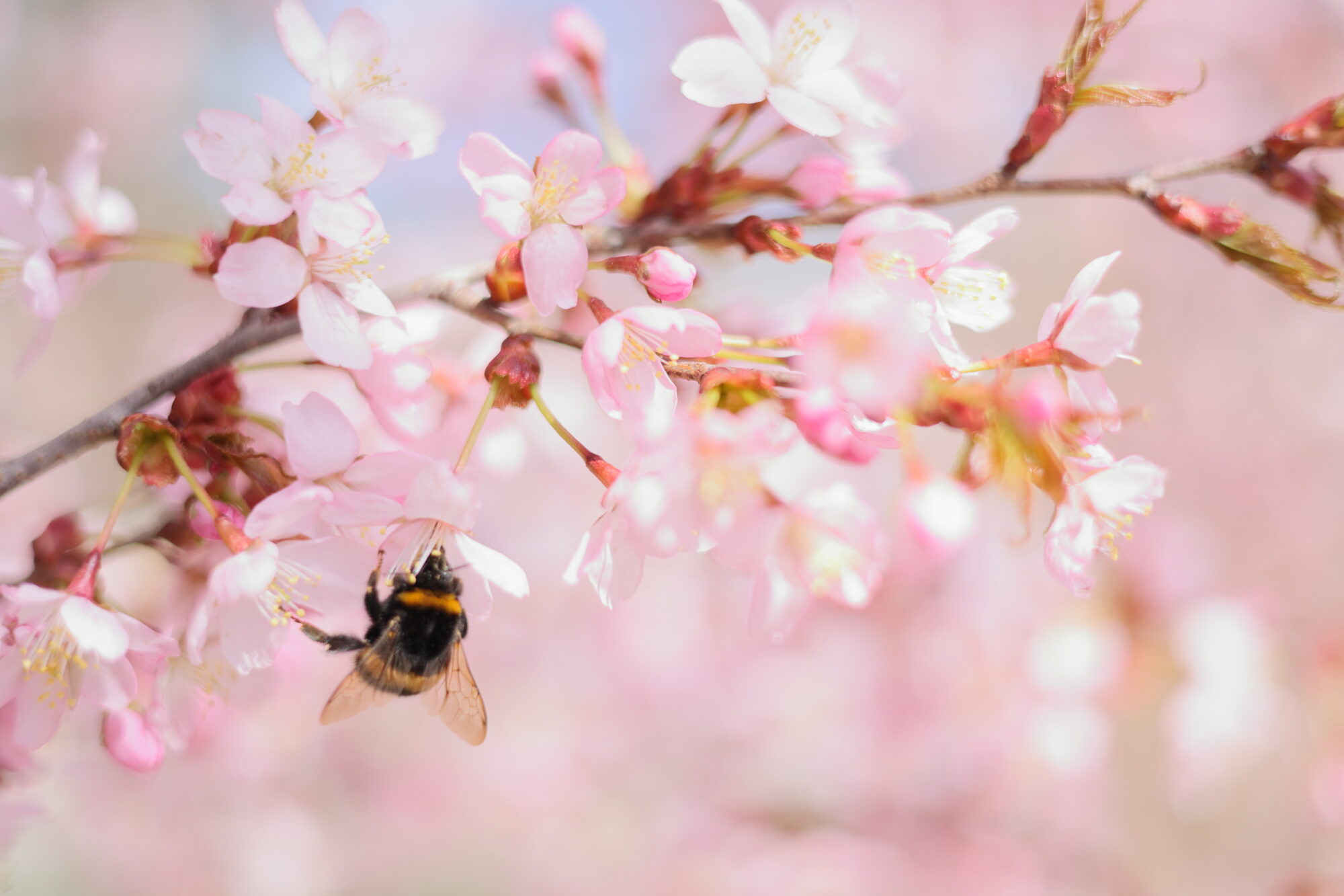 Valokuvaaja: Janne Salomeri