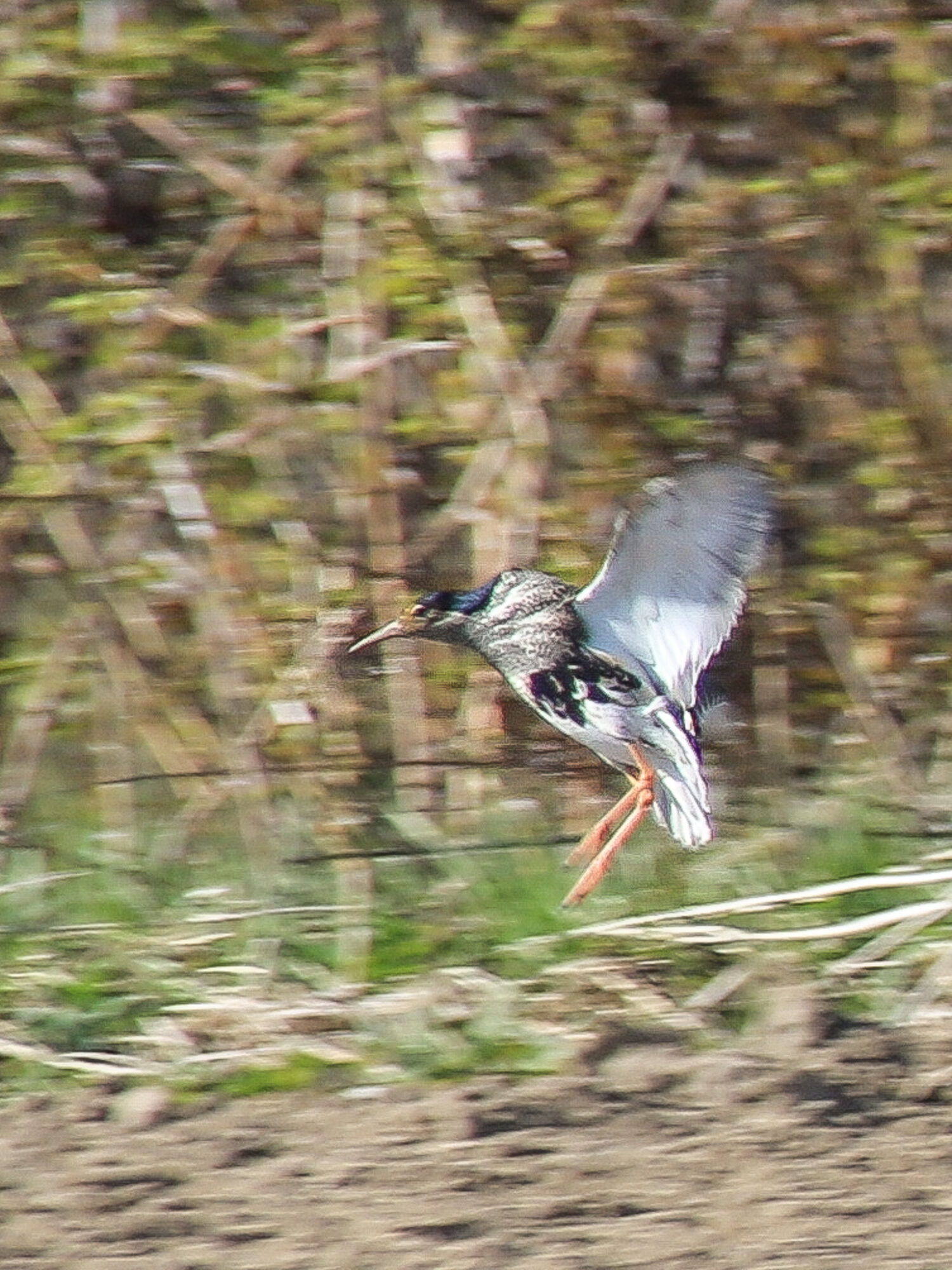 Valokuvaaja: Teija-Marjaana Havén