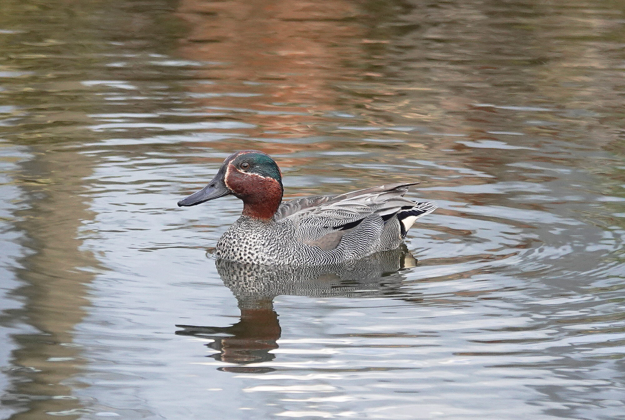 Valokuvaaja: Raija Oksanen Valokuvaaja: Raija Oksanen