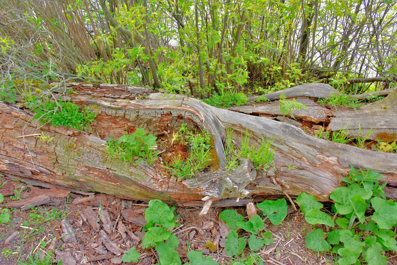 Valokuvaaja: Reijo Juurinen