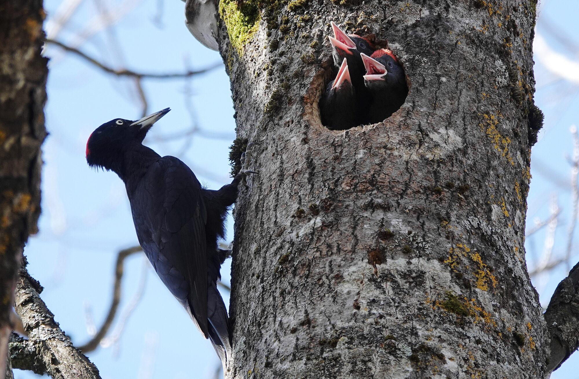 Valokuvaaja: Raija Oksanen