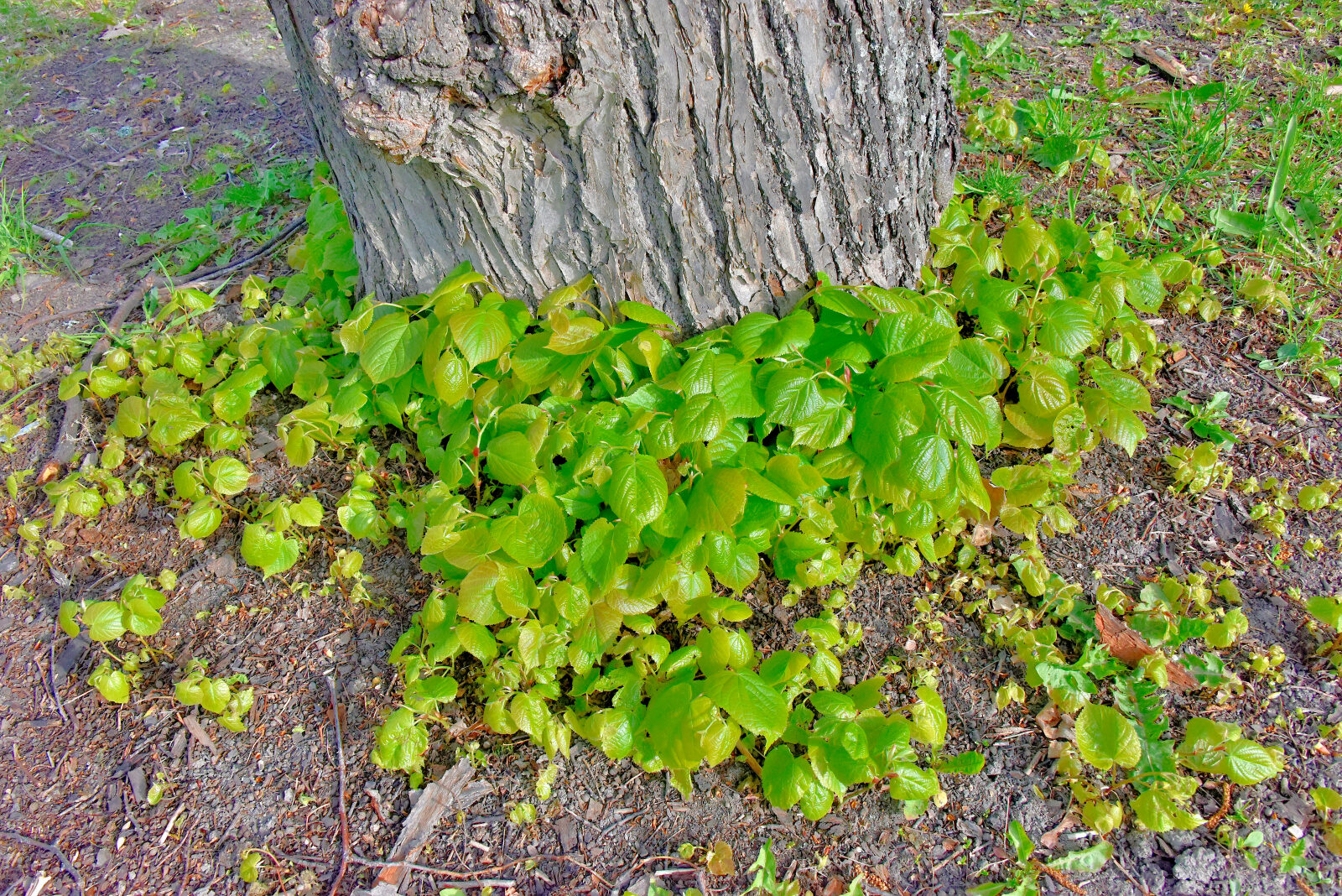 Valokuvaaja: Reijo Juurinen