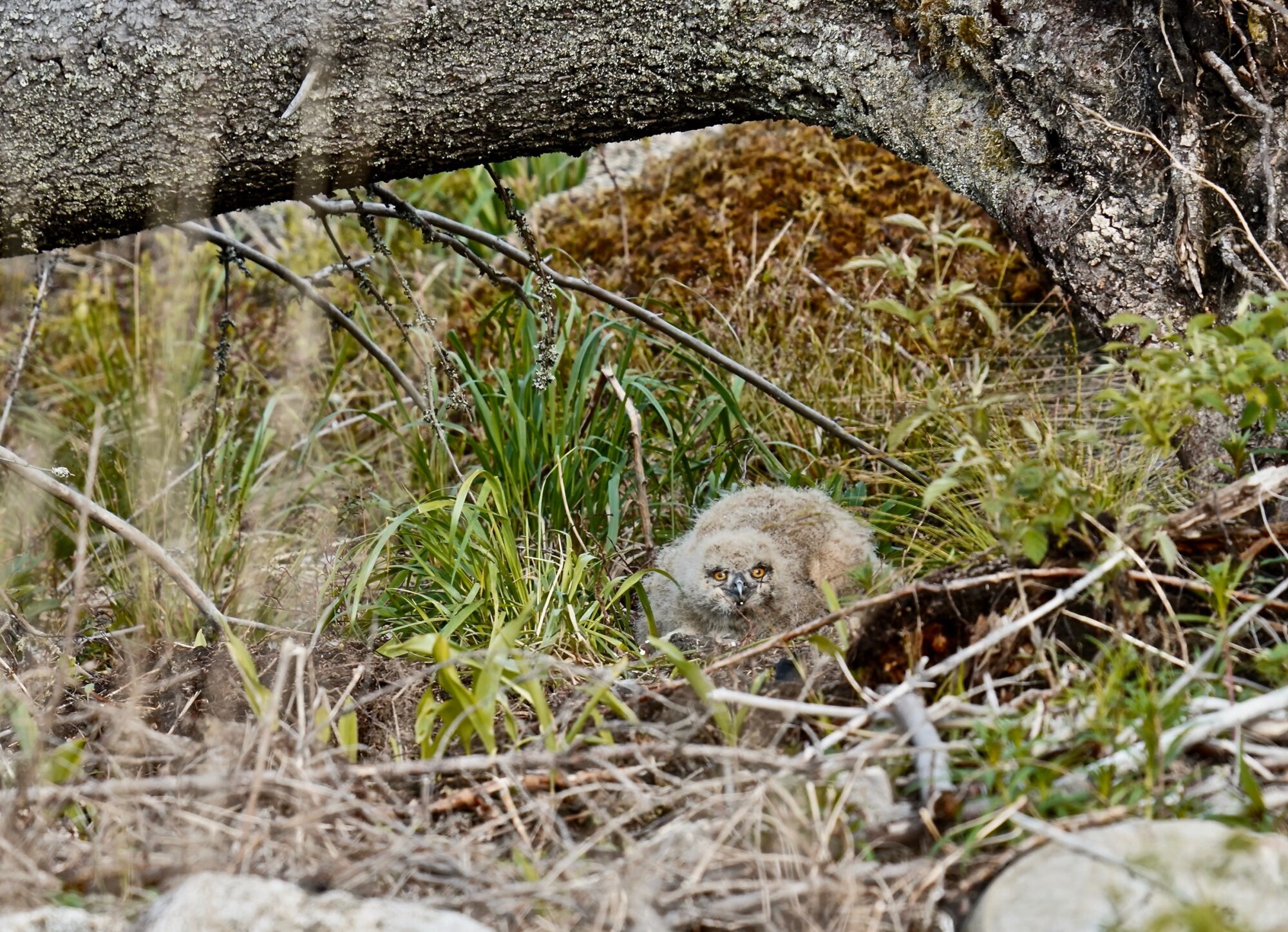 Valokuvaaja: Markku Ranta-Eilola