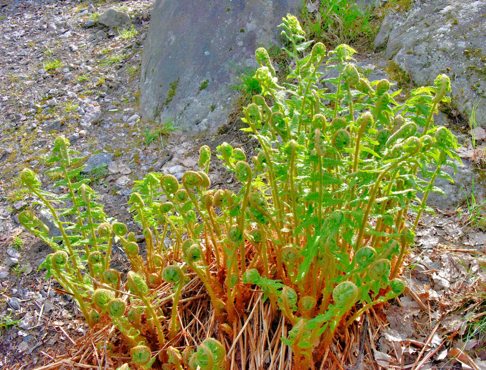 Valokuvaaja: Reijo Juurinen