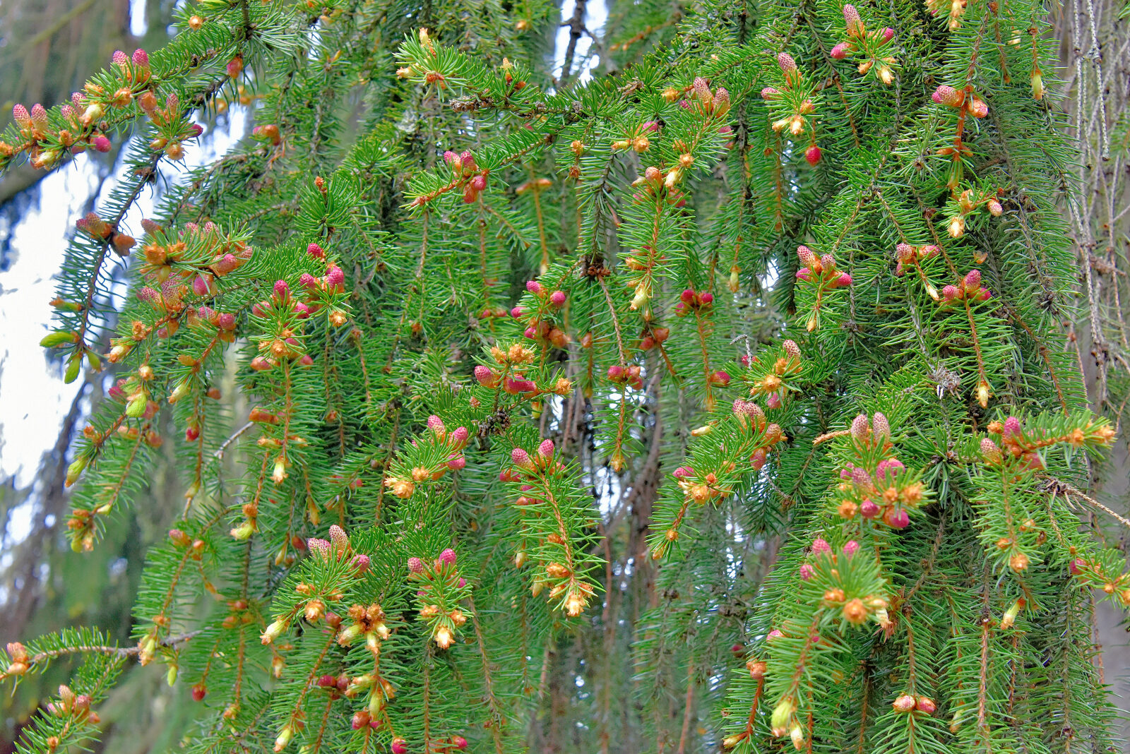 Valokuvaaja: Reijo Juurinen