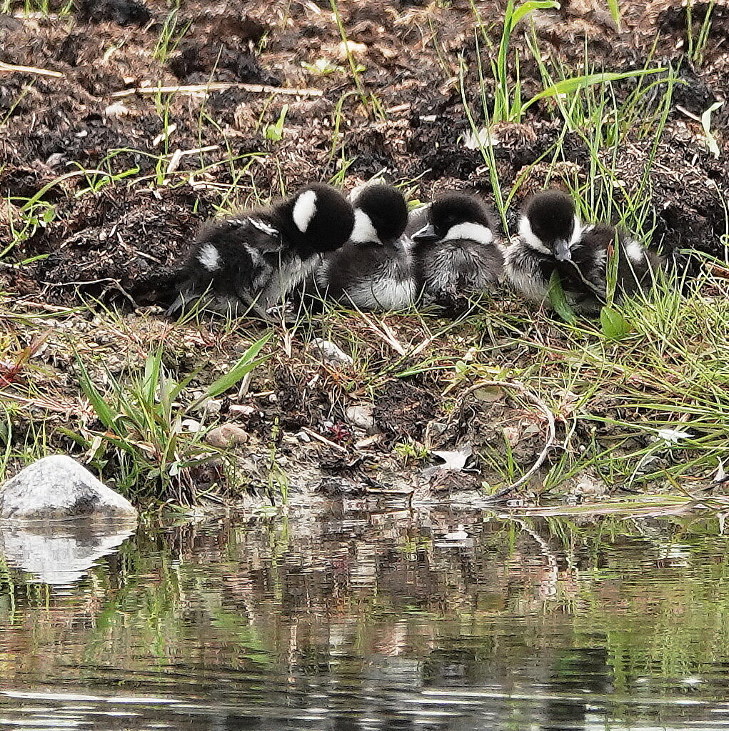 Valokuvaaja: Raija Oksanen