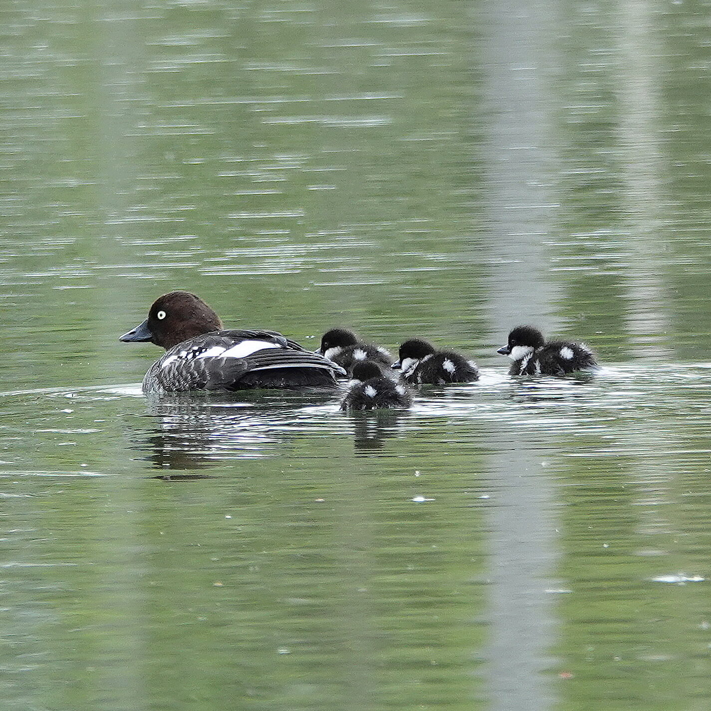 Valokuvaaja: Raija Oksanen