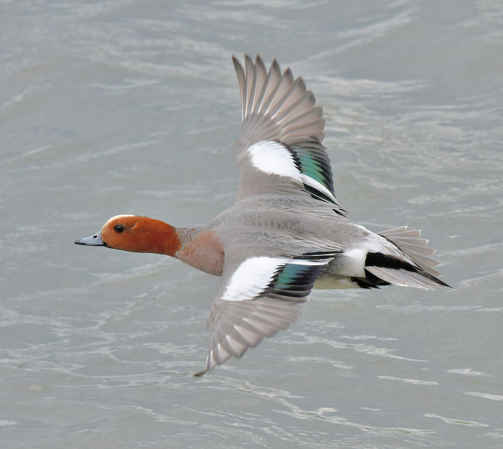 Valokuvaaja: Reijo Juurinen