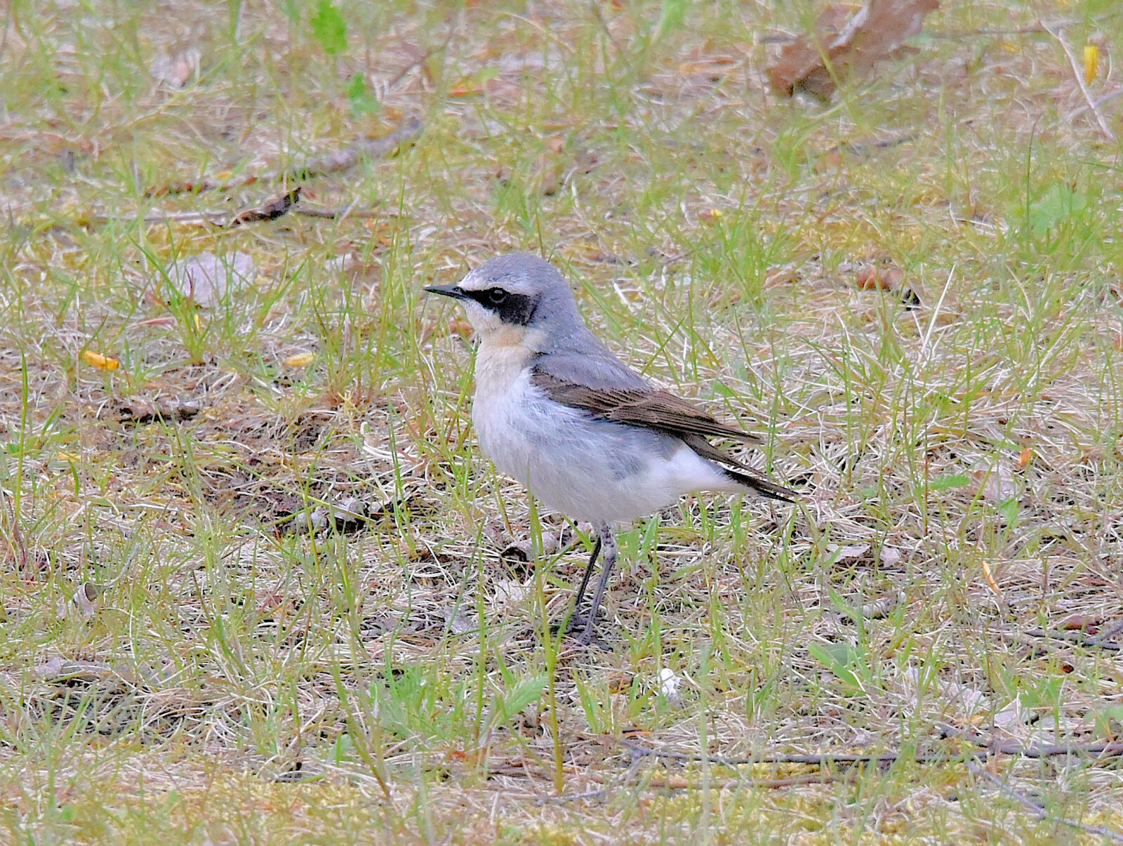 Valokuvaaja: Reijo Juurinen