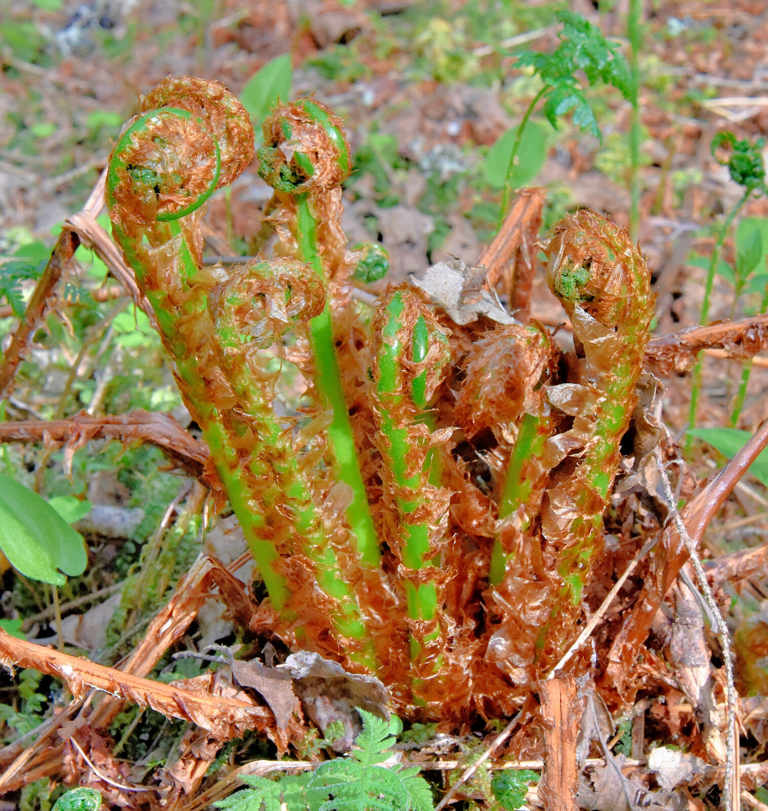 Valokuvaaja: Reijo Juurinen