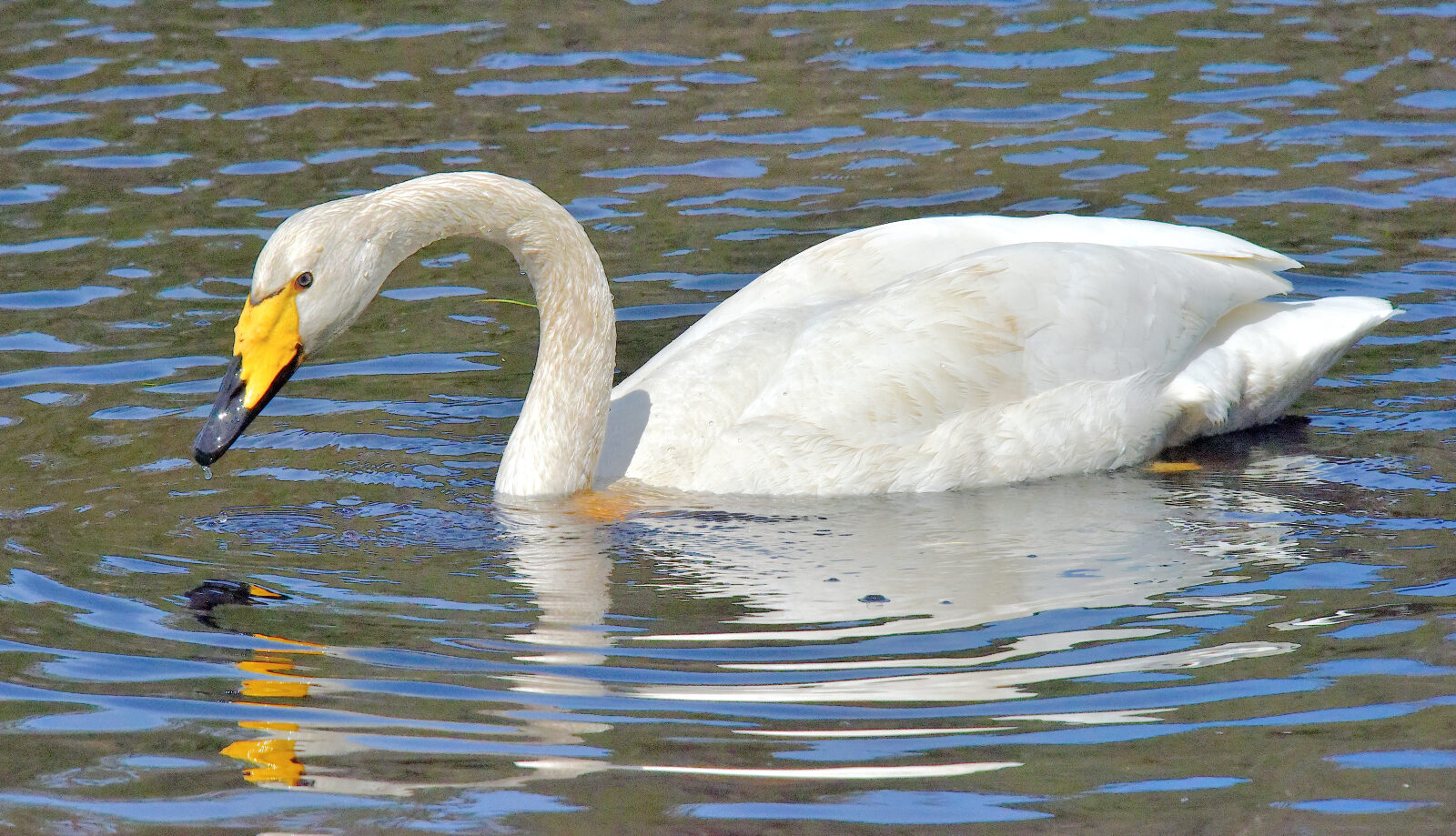 Valokuvaaja: Reijo Juurinen