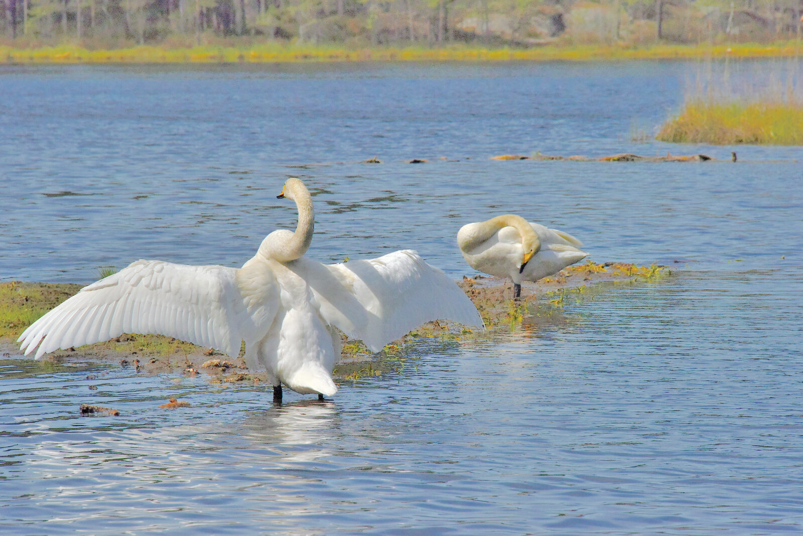 Valokuvaaja: Reijo Juurinen