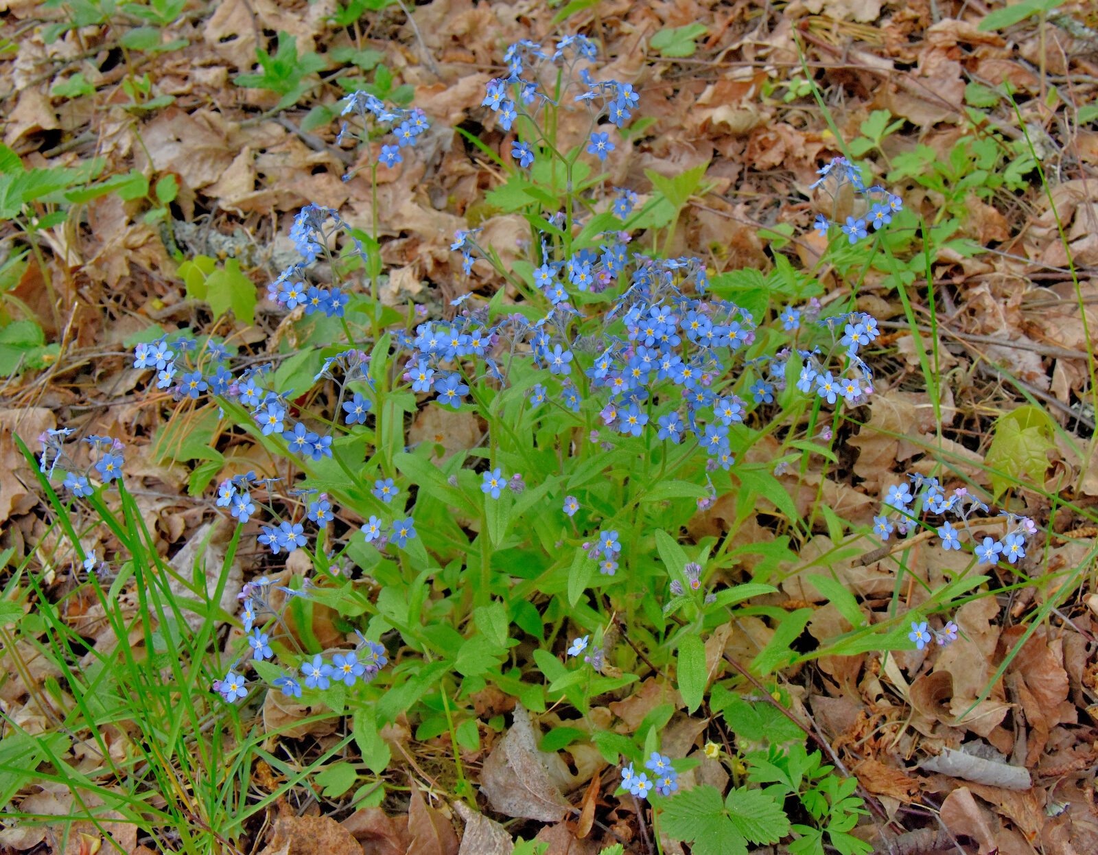 Valokuvaaja: Reijo Juurinen