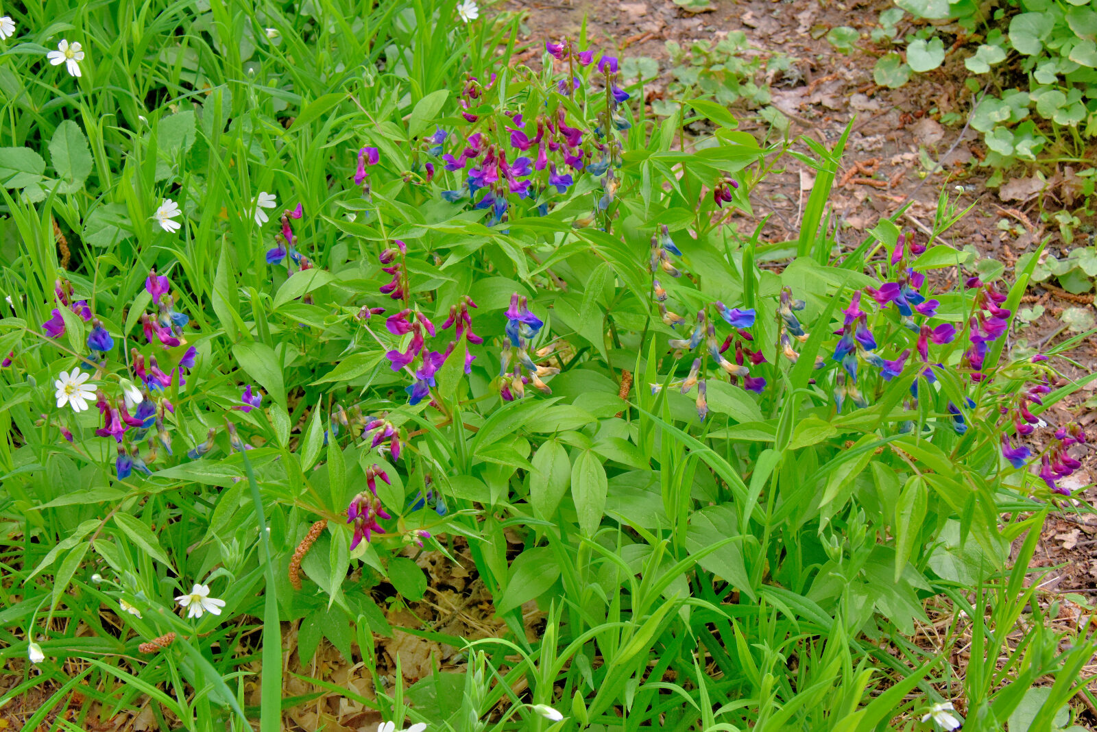 Valokuvaaja: Reijo Juurinen