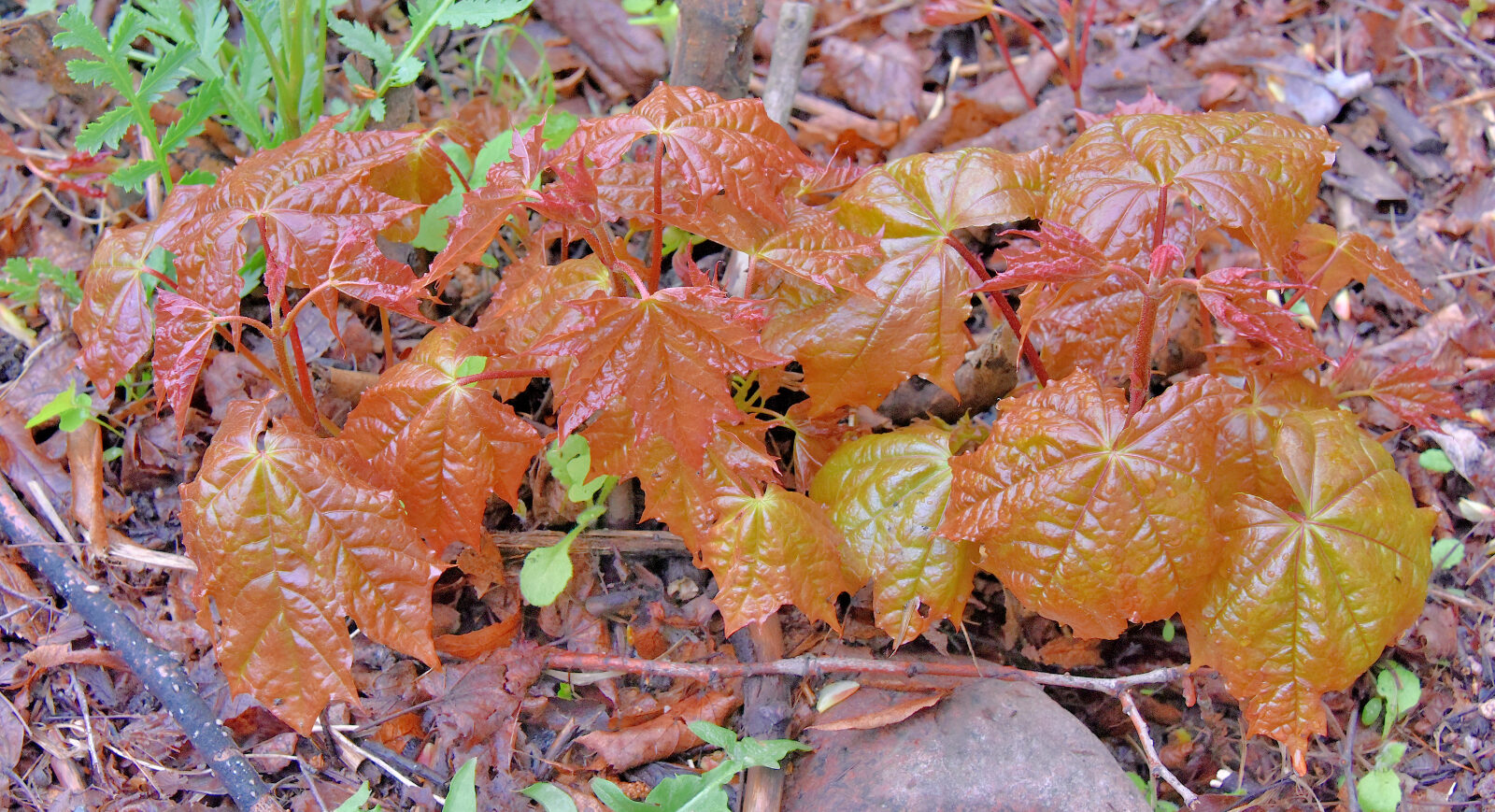 Valokuvaaja: Reijo Juurinen