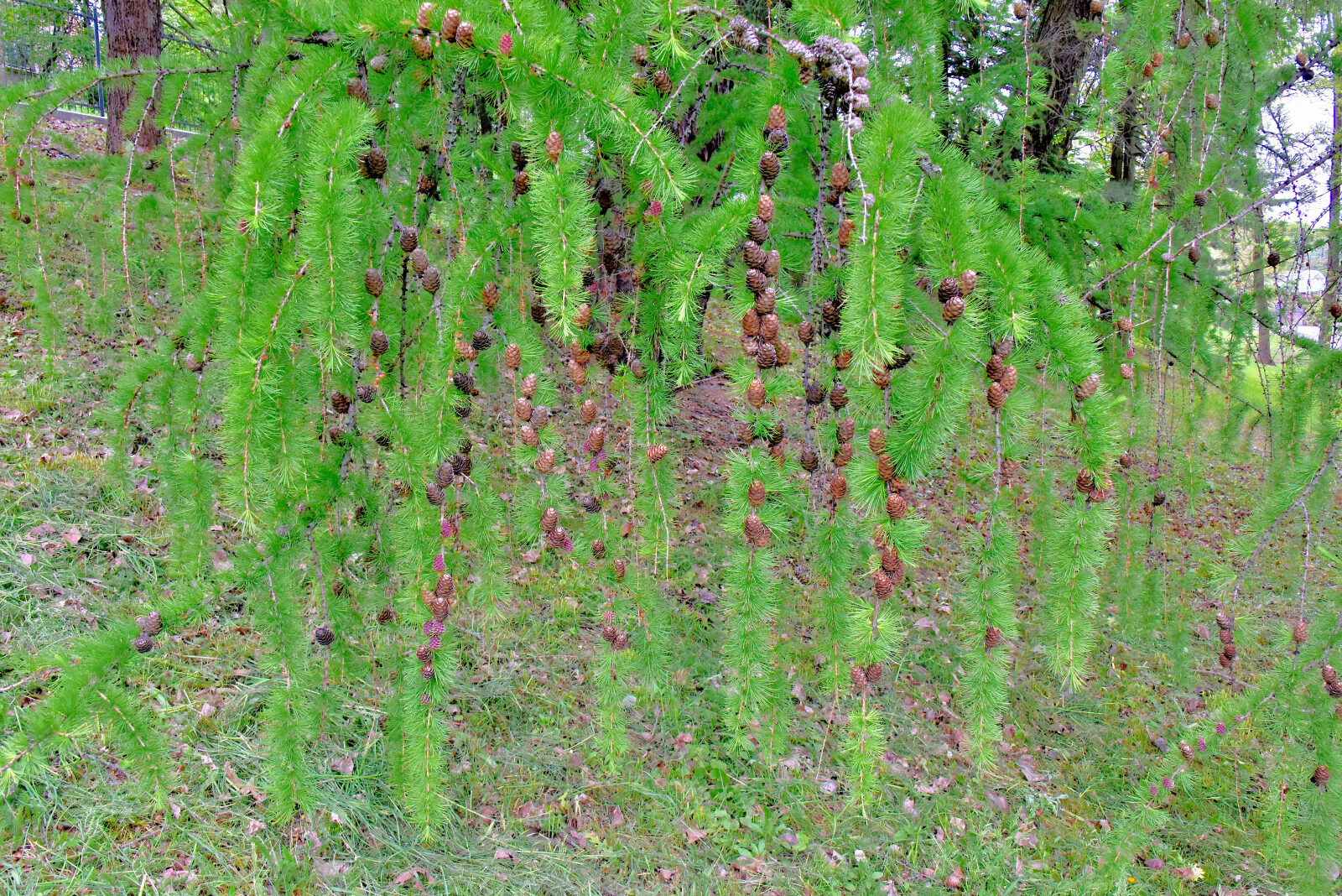 Valokuvaaja: Reijo Juurinen