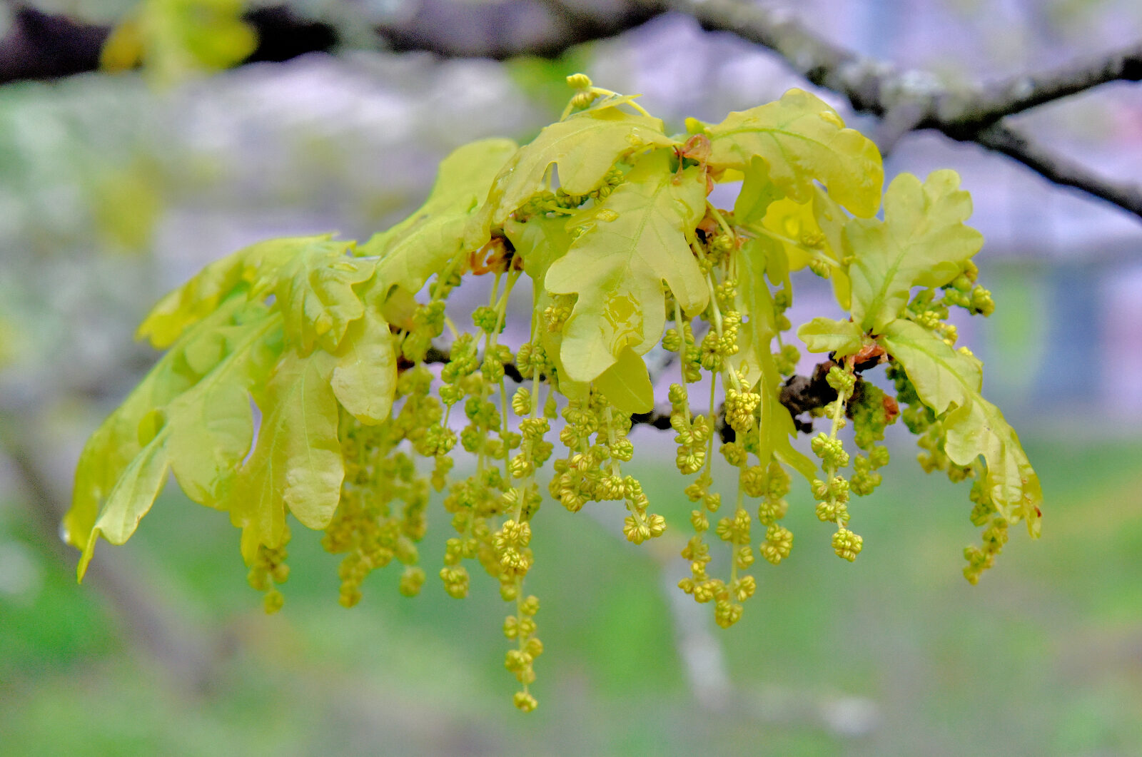 Valokuvaaja: Reijo Juurinen
