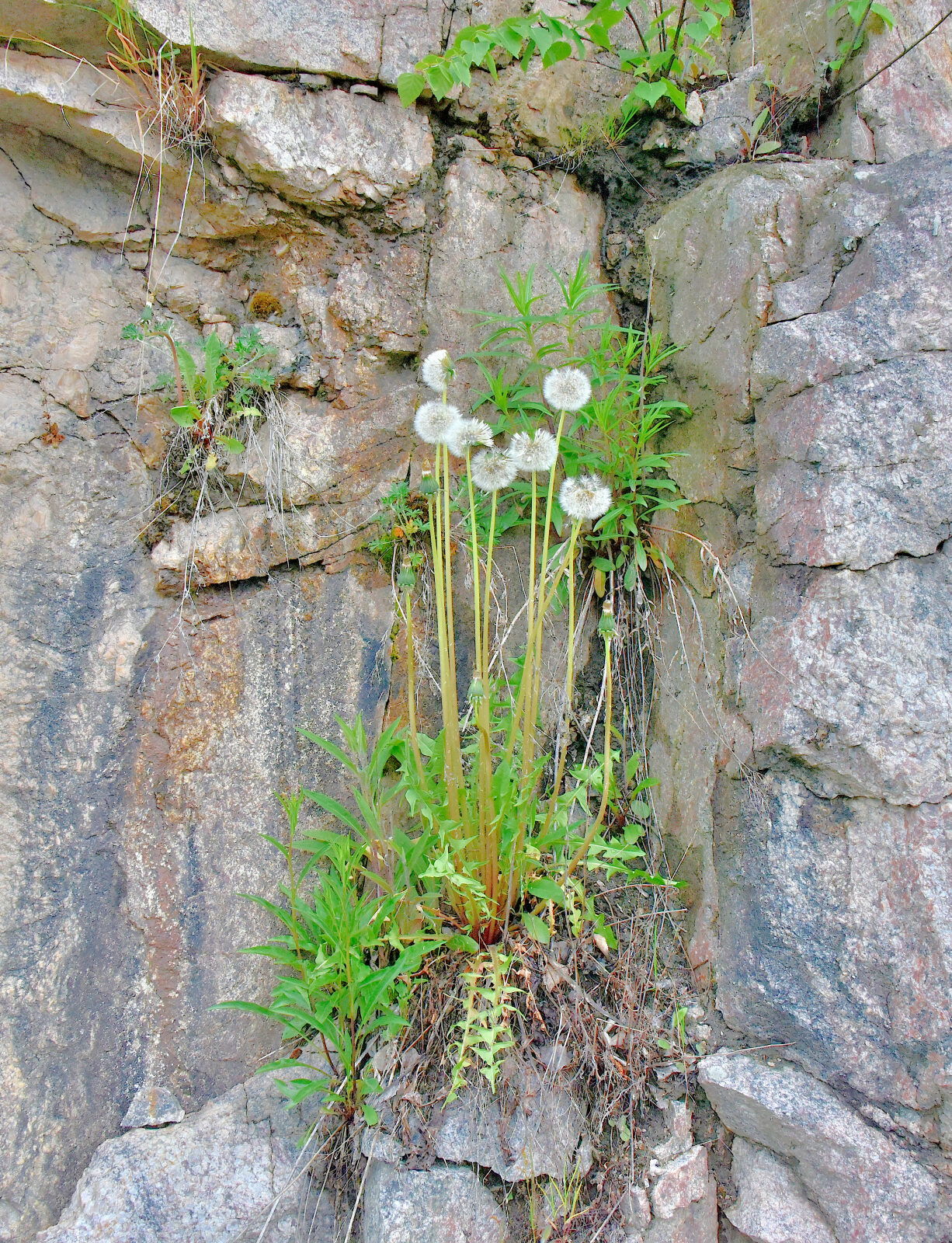 Valokuvaaja: Reijo Juurinen