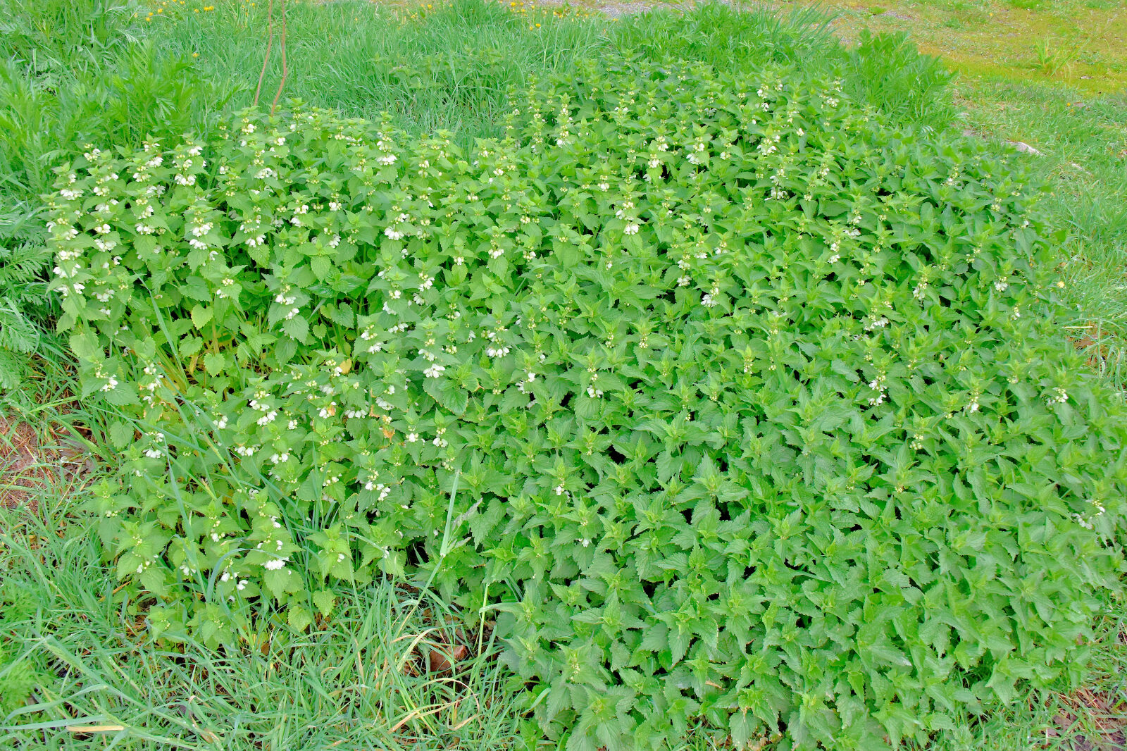 Valokuvaaja: Reijo Juurinen