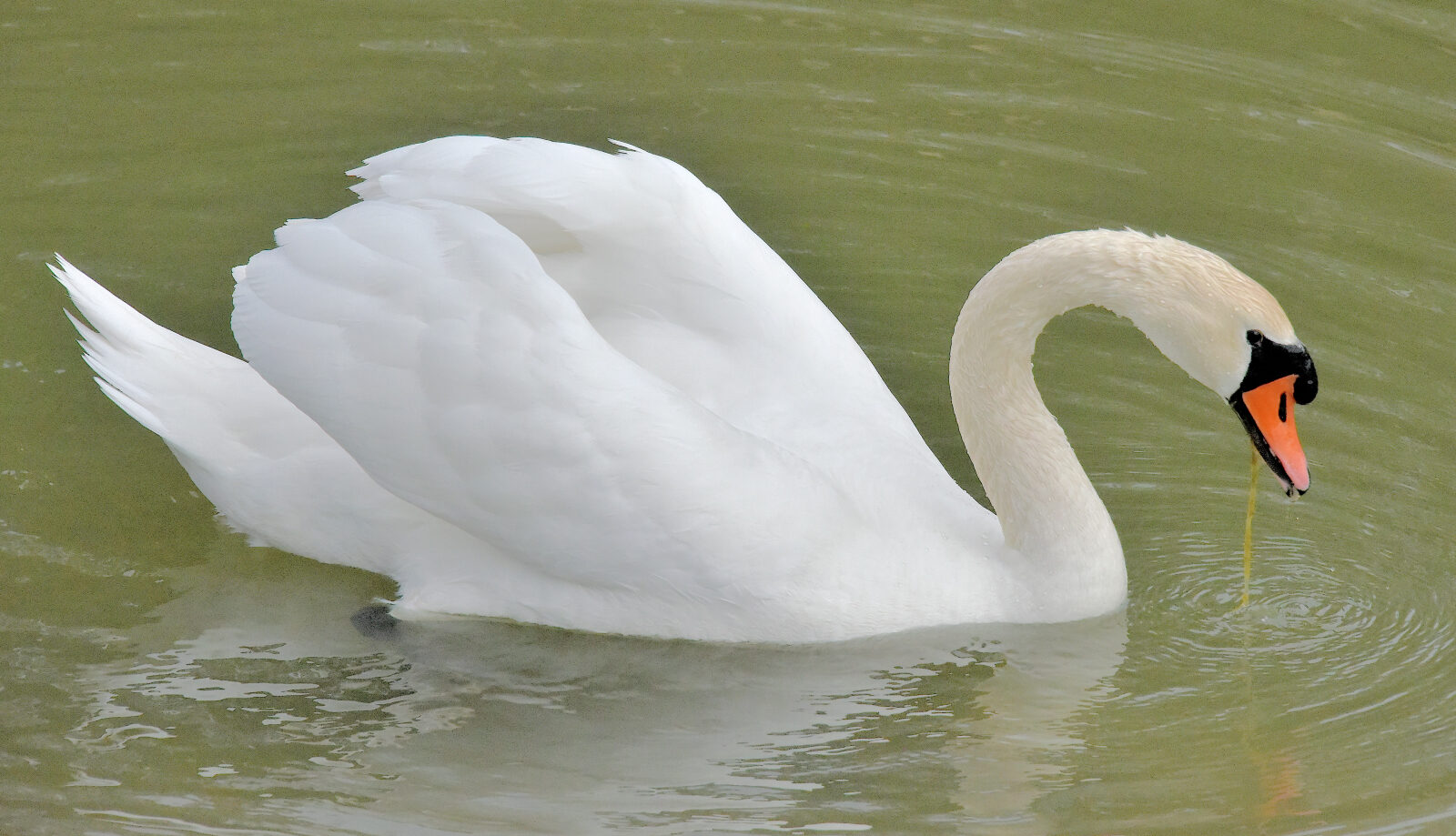 Valokuvaaja: Reijo Juurinen