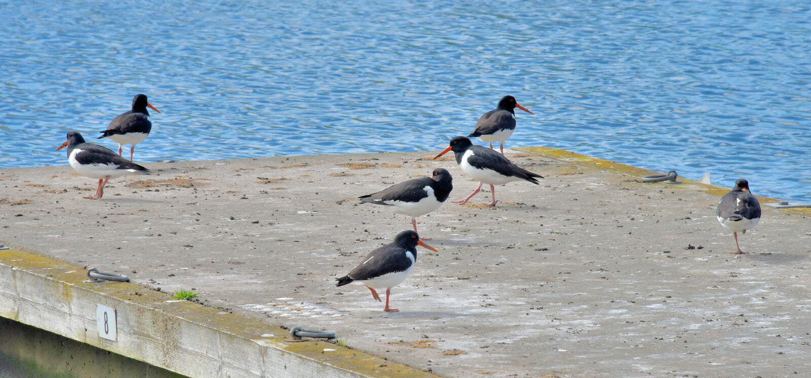 Valokuvaaja: Reijo Juurinen