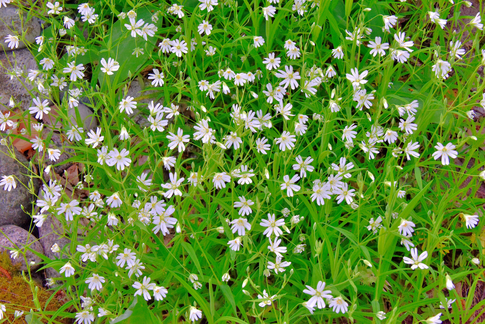 Valokuvaaja: Reijo Juurinen