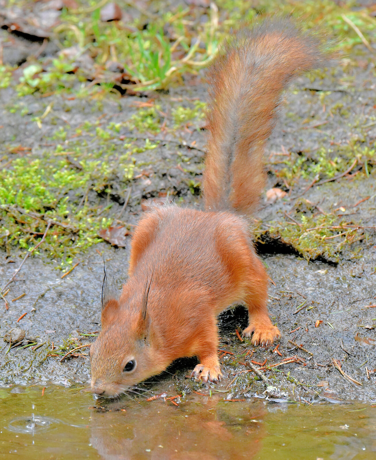 Valokuvaaja: Reijo Juurinen