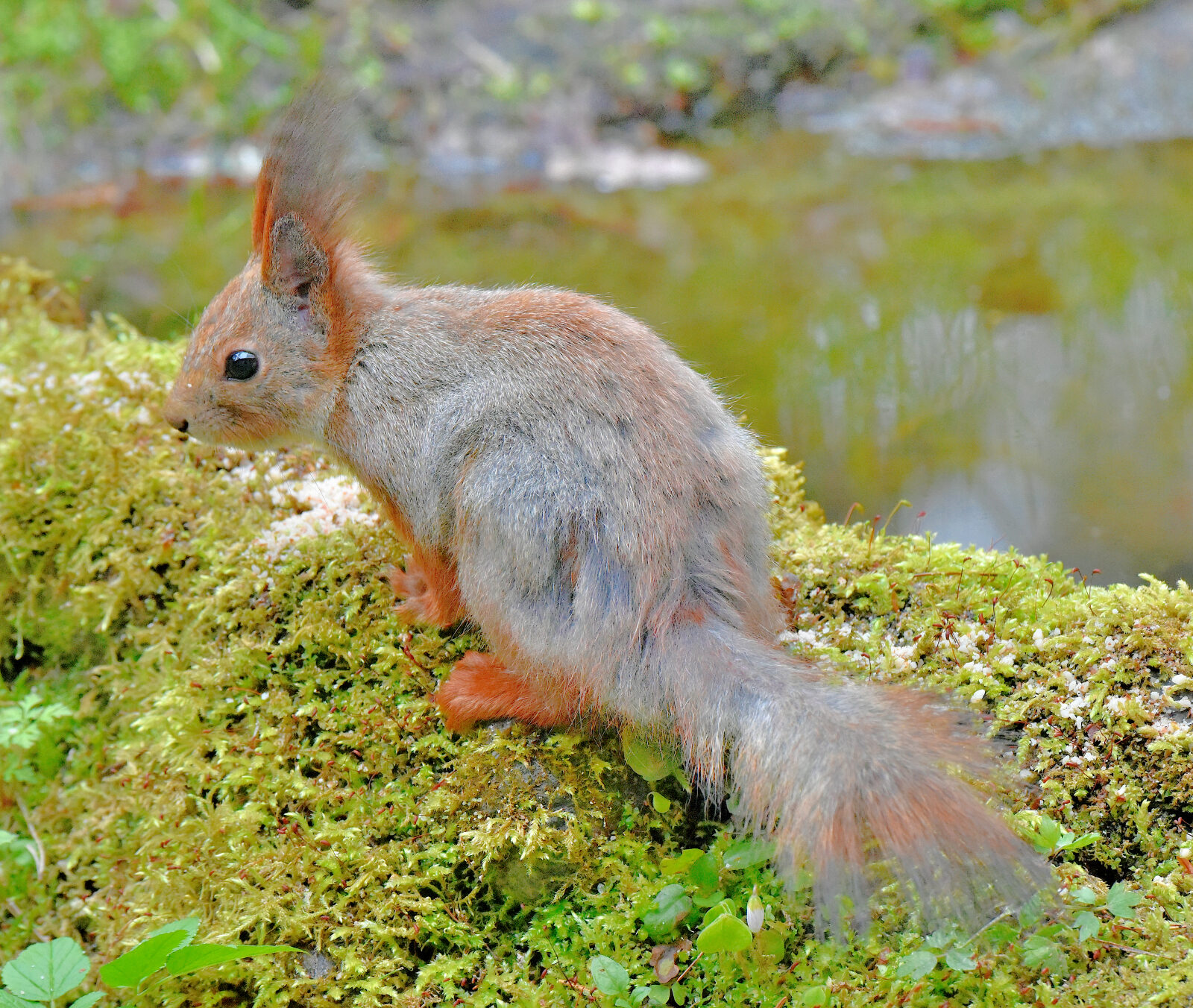 Valokuvaaja: Reijo Juurinen