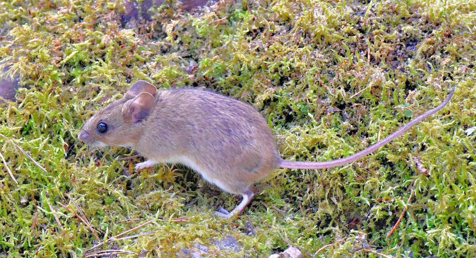 Valokuvaaja: Reijo Juurinen