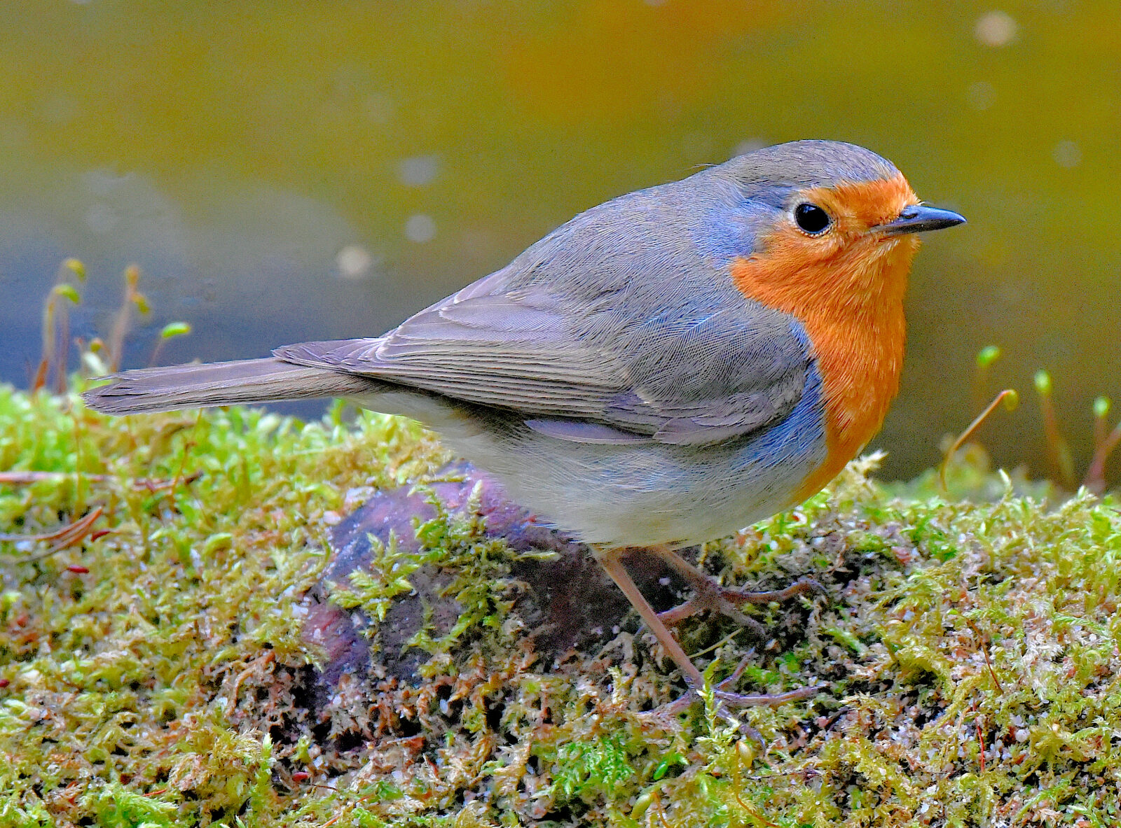 Valokuvaaja: Reijo Juurinen