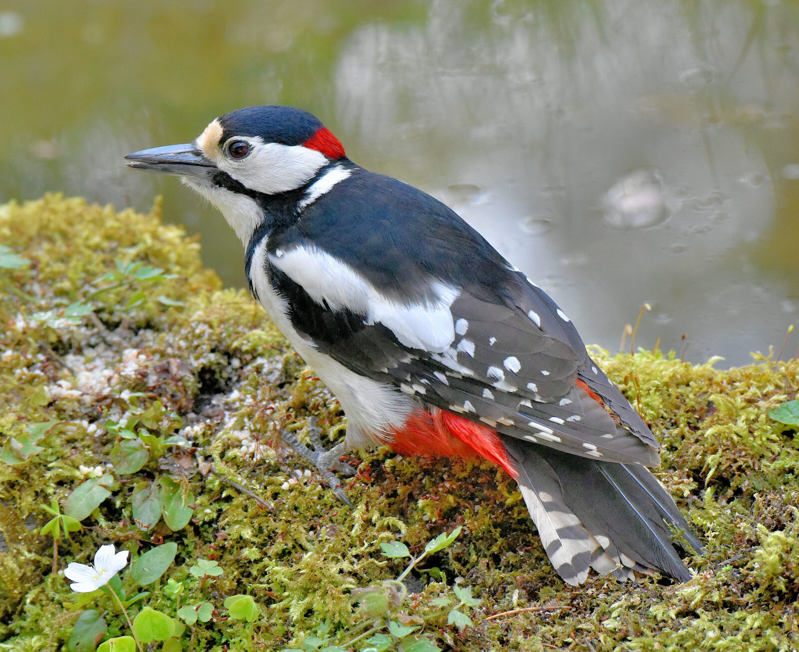 Valokuvaaja: Reijo Juurinen Valokuvaaja: Reijo Juurinen