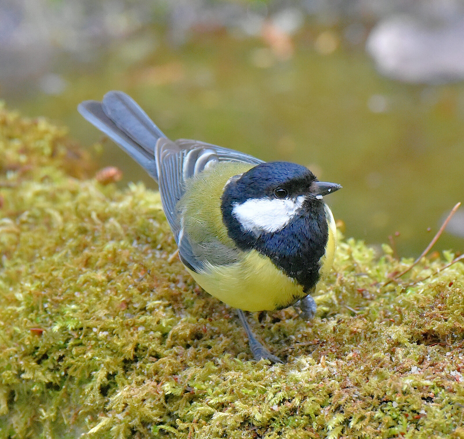 Valokuvaaja: Reijo Juurinen