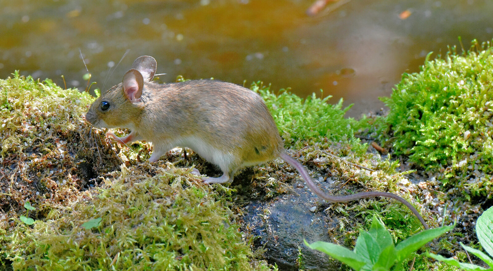 Valokuvaaja: Reijo Juurinen