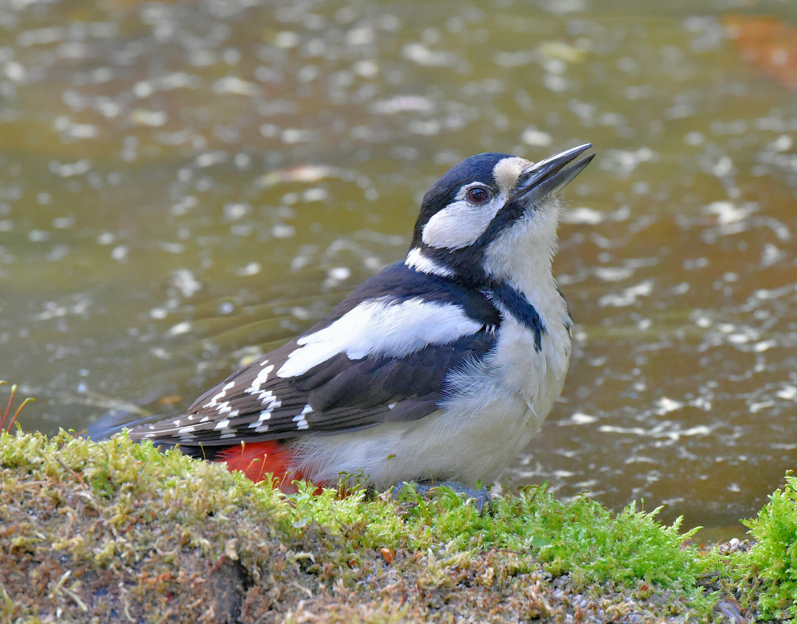 Valokuvaaja: Reijo Juurinen