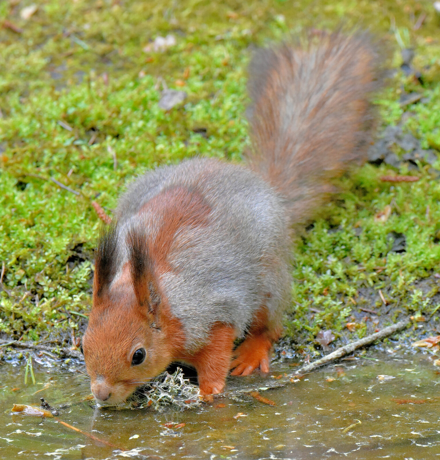 Valokuvaaja: Reijo Juurinen