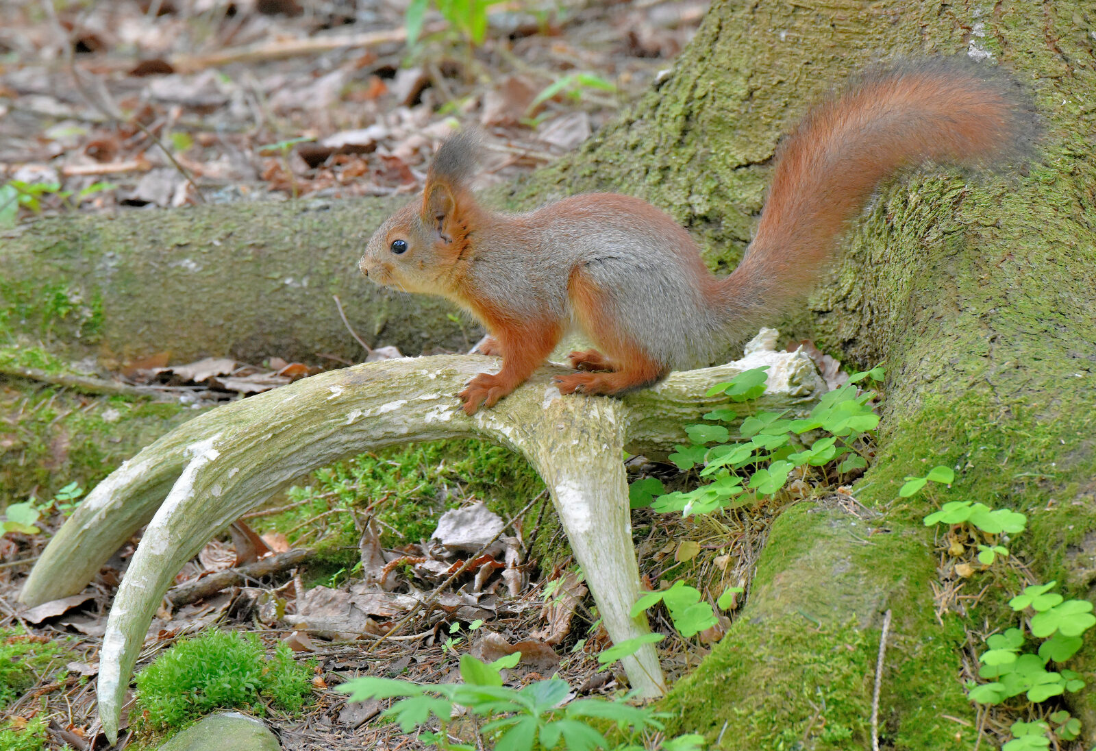 Valokuvaaja: Reijo Juurinen