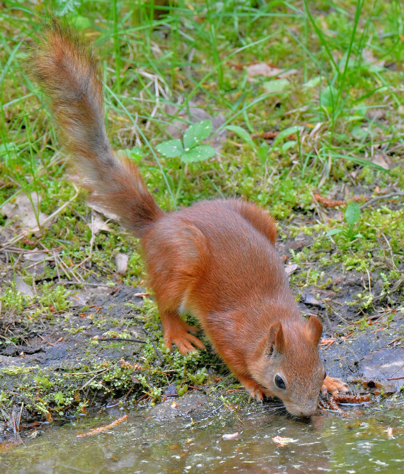 Valokuvaaja: Reijo Juurinen
