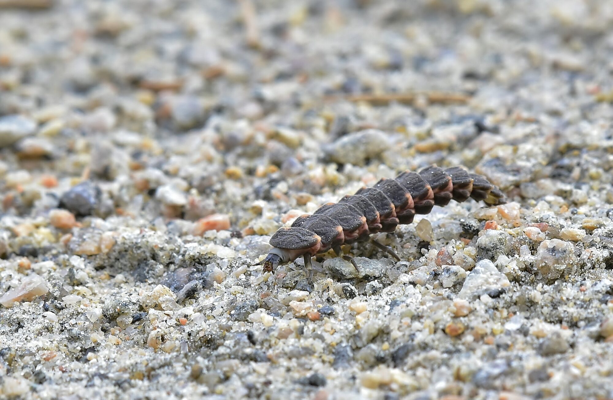 Valokuvaaja: Markku Pelkonen