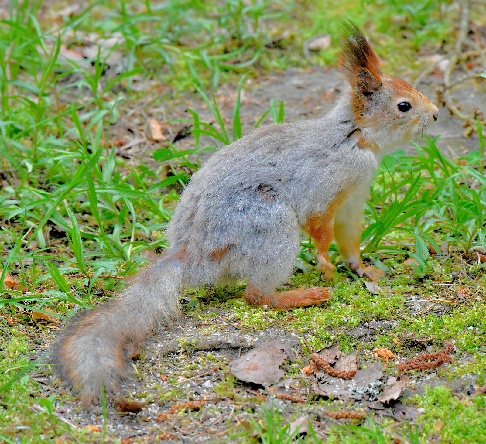 Valokuvaaja: Reijo Juurinen