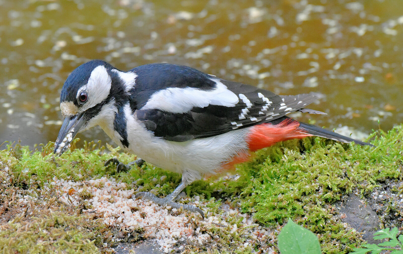 Valokuvaaja: Reijo Juurinen