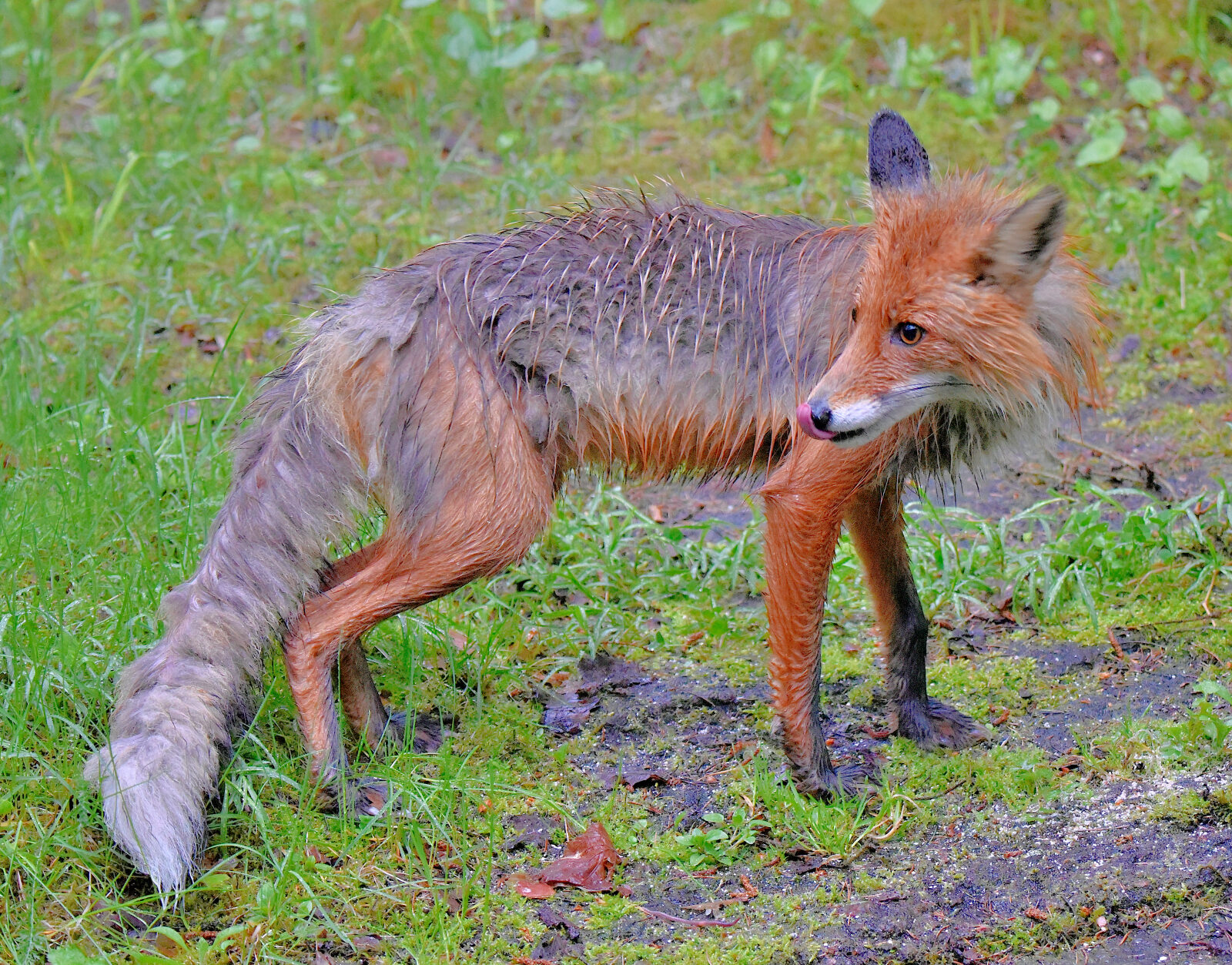Valokuvaaja: Reijo Juurinen