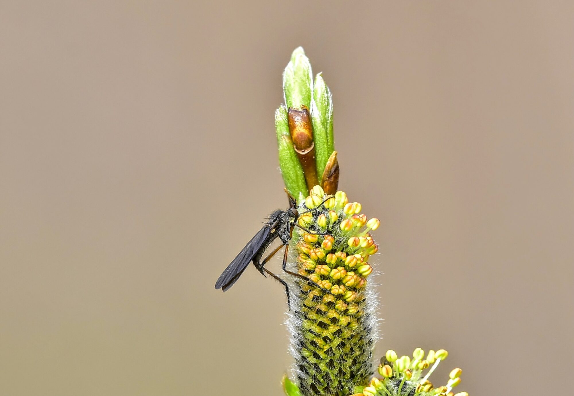 Valokuvaaja: Markku Pelkonen